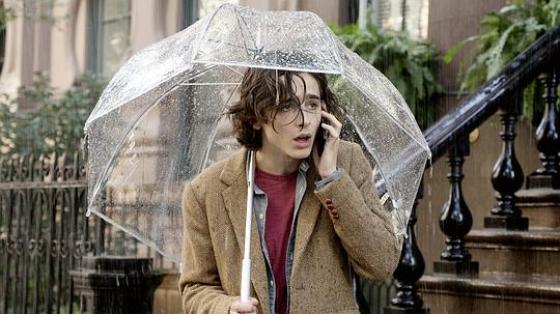 《纽约的一个雨天》HD电影手机在线观看